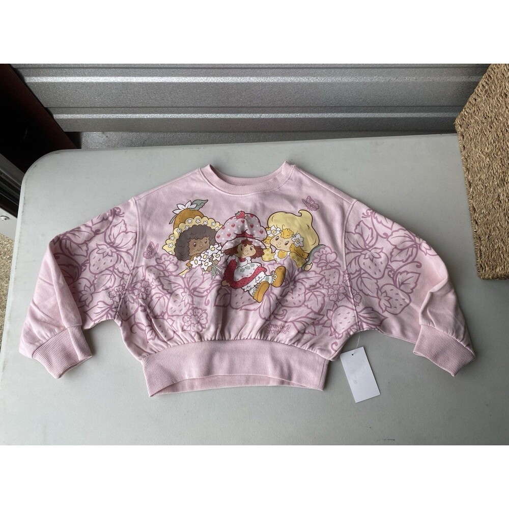 Strawberry Shortcake Girls XS 4-5 Pink Character Graphic Sweatshirt 2025